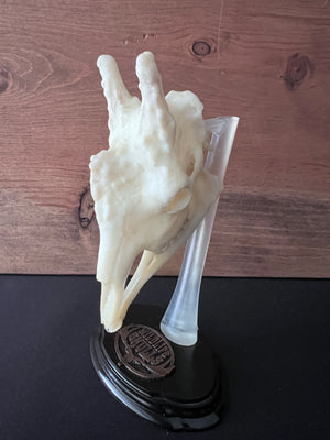Giraffe- "The Sky Grazer"
