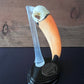 Keel-Billed Toucan- "Rainbow Skull"