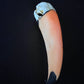 Keel-Billed Toucan- "Rainbow Skull"