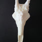 Giraffe- "The Sky Grazer"